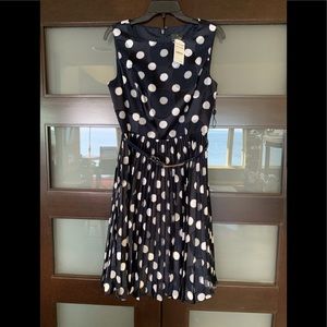 Adrianna Papell Polka Dot Navy Dress with Belt